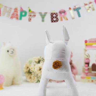 寵物服飾展示新風尚 專業狗模特與陳列架的魅力